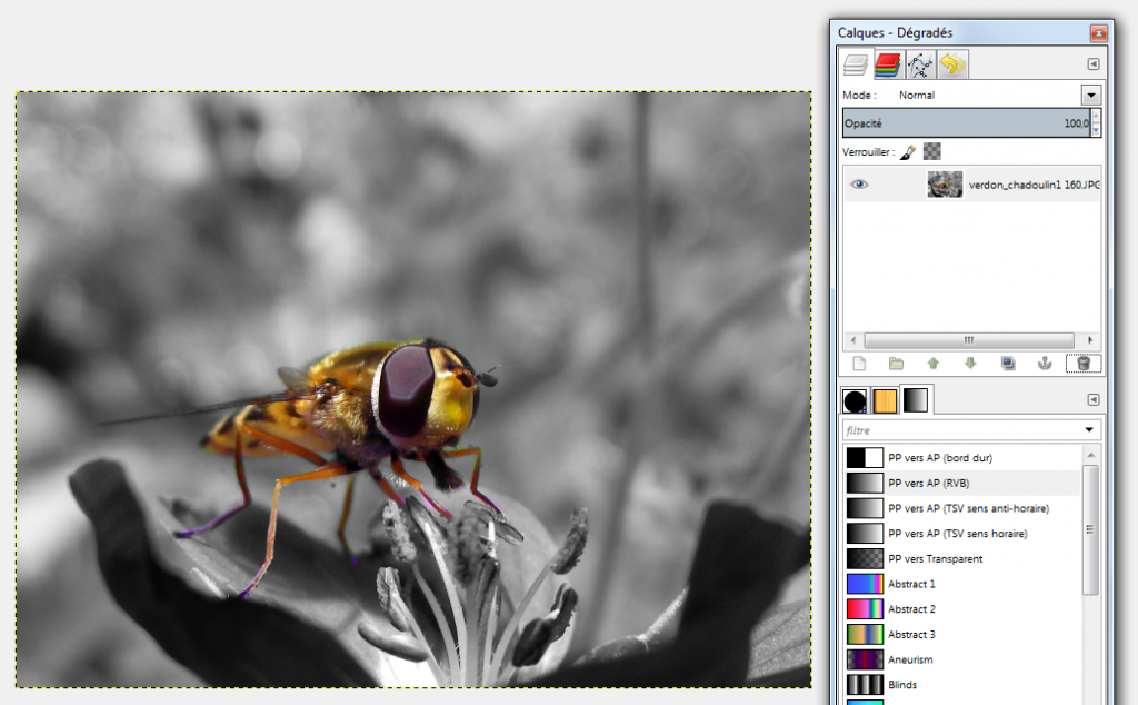 image-noir-et-blanc-avec-une-couleur-isoler-gimp-12